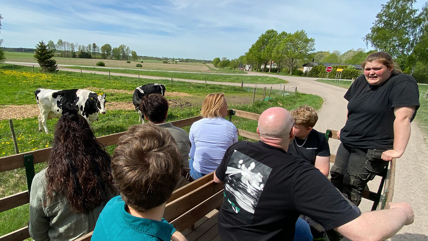 Personer får guidad tur i skrinda. Bredvid dem syns en grön hage med två kor.