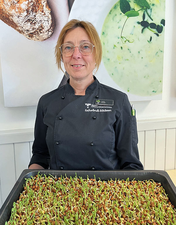 Kock håller i plåt med groddar av gråärt