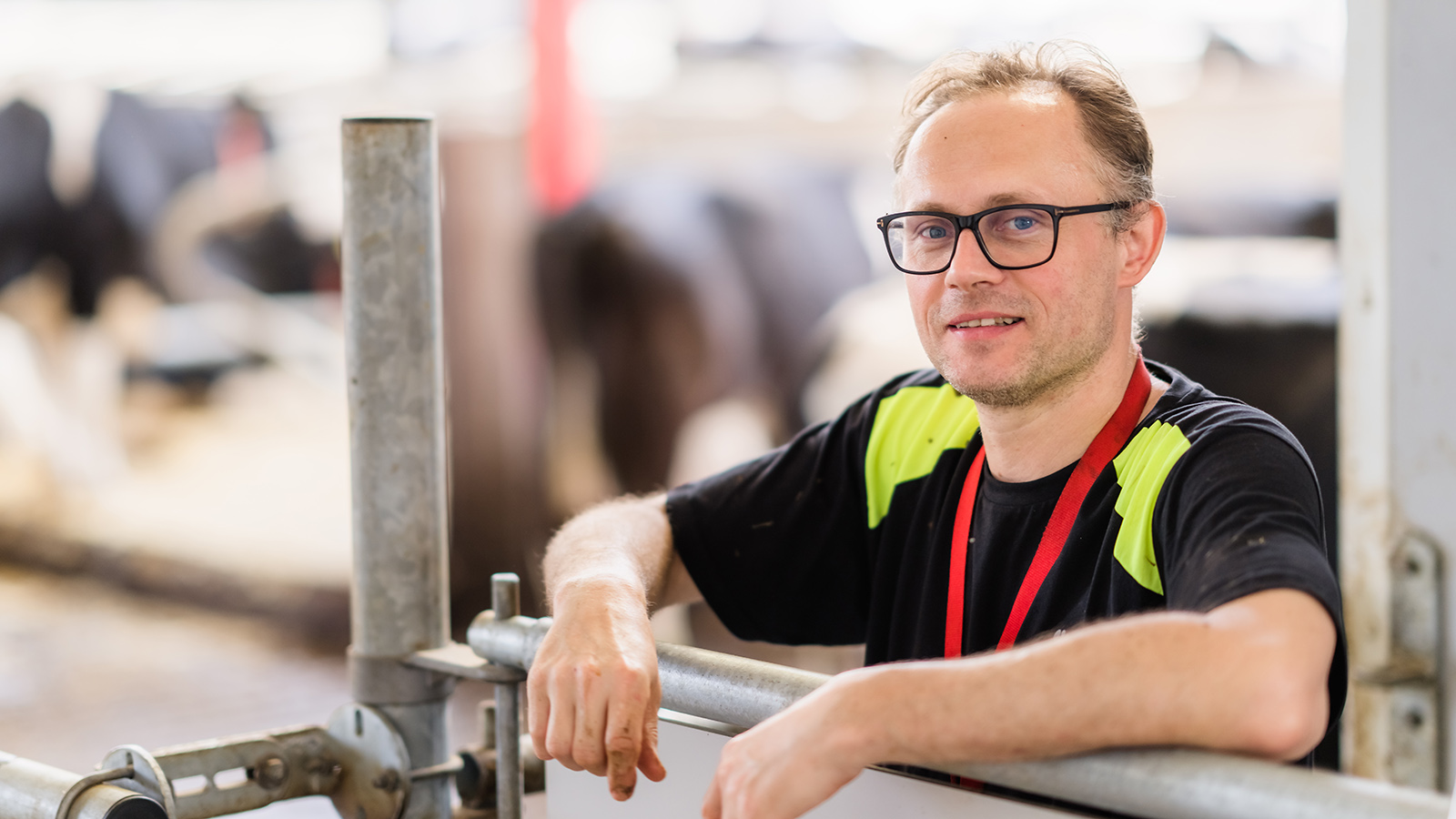 En man i en ladugård