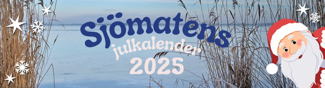 Vass vid sjökant med frost. Texten Sjömatens julkalender ovanpå.