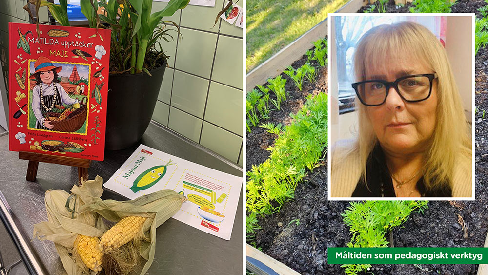 Kollage med räddad frukt från lokala matbutiken, odling i pallkrage samt rektor Annsofi Hultbäck