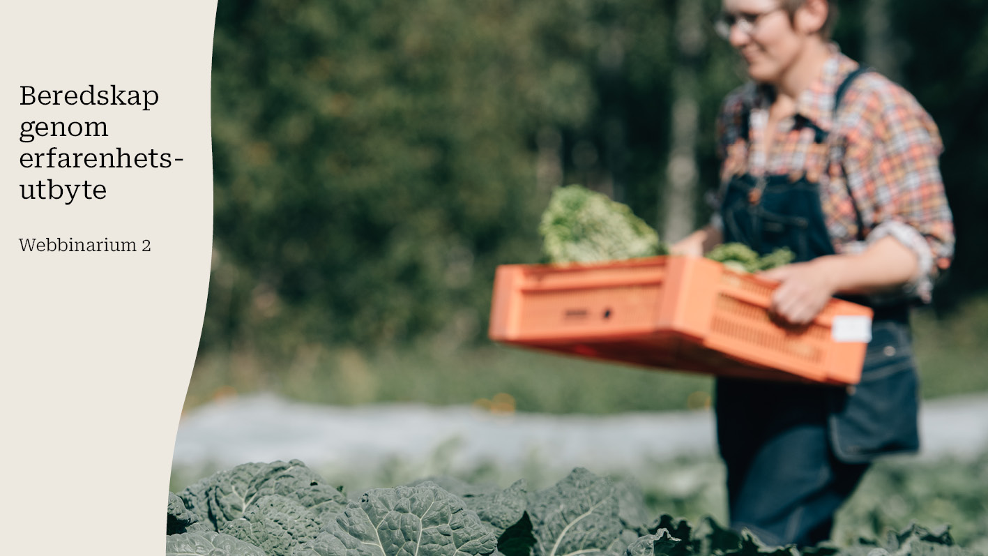 Vy över ett fält där en kvinna bär en låda med grönsaker
