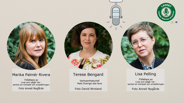 Marika Palmér Rivera, Terese Bengard och Lisa Pelling i ett bildkollage