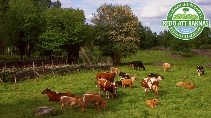 Man som håller fram en lax samt loggan för artikelserien ovanpå.