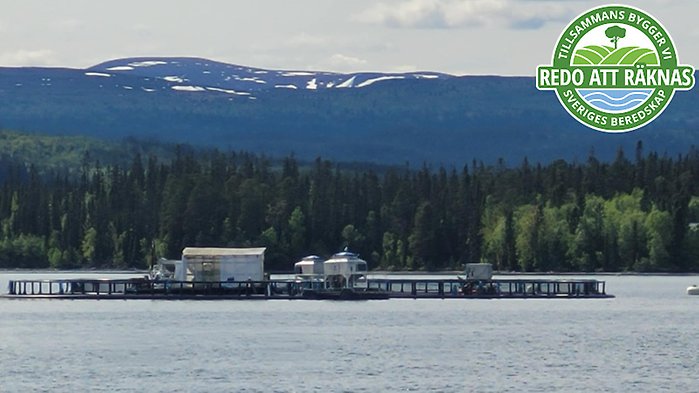 Man som håller fram en lax samt loggan för artikelserien ovanpå.