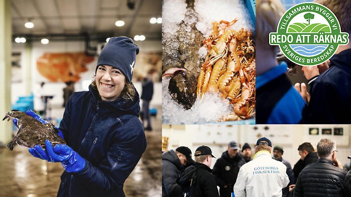 Bild på braxen med loggan för artikelserien ovanpå.