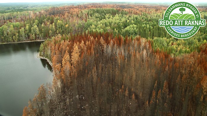 Bild på braxen med loggan för artikelserien ovanpå.