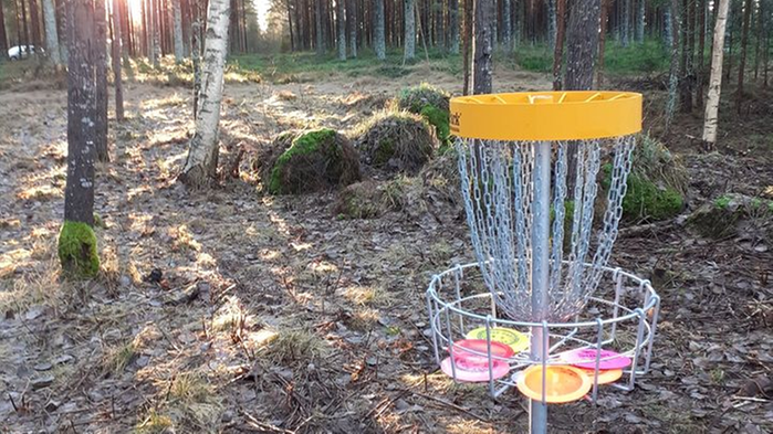 Discgolf-korg i skogsmiljö.