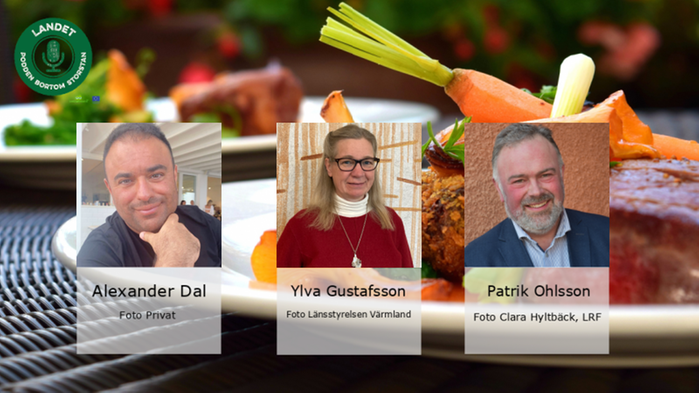 Patrik Ohlsson, ordförande i LRF Värmland och lantbrukare som driver växtodling och köttproduktion i Kil, Ylva Gustafsson, processledare för livsmedelsstrategin på Länsstyrelsen i Värmland och Alexander Dal, ägare av Pizzerian Alpina i Skövde