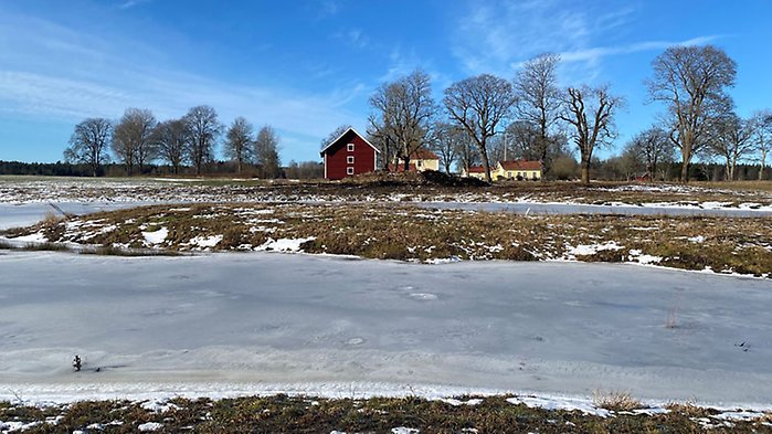 Bild på frusen sjö medRyningsholmsgård i bakgrunden