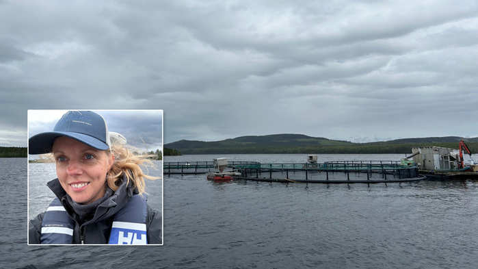 Sjö med odlingskasse. Infälld bild på Hanna Carlberg.