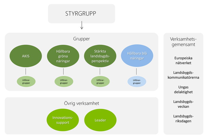 Organisationsskiss indelad i områdena grupper, övrig verksamhet och verksamhetsgemensamt.