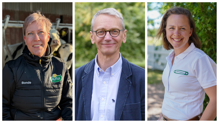 Sofia Nilsson, Peter Lundqvist och Åsa-Lina Nordlund