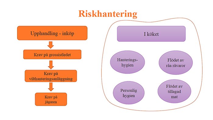 En modell som visar hur krav på riskhantering kan ställas i alla led från upphandling till, grossist och vilthanteringsanläggning, till jägare - samt i köket. 