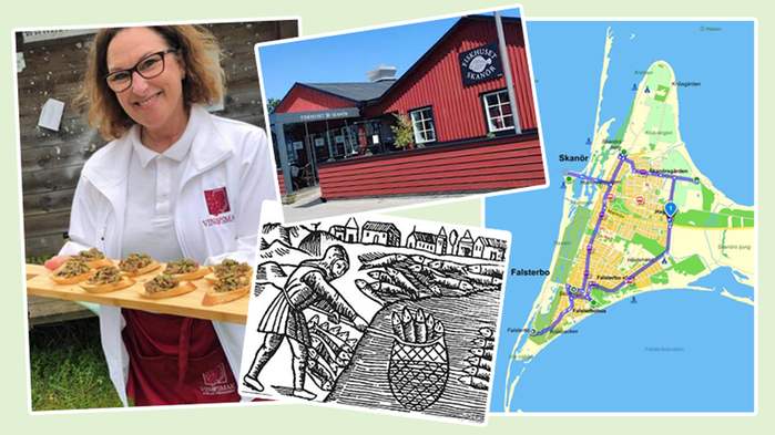 Collage på bilder från rundresan.