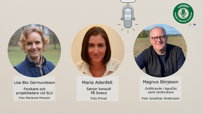 Kollage med bilder på poddens gäster Lisa Blix Germundsson, Maria Adenfelt och Magnus Börjeson