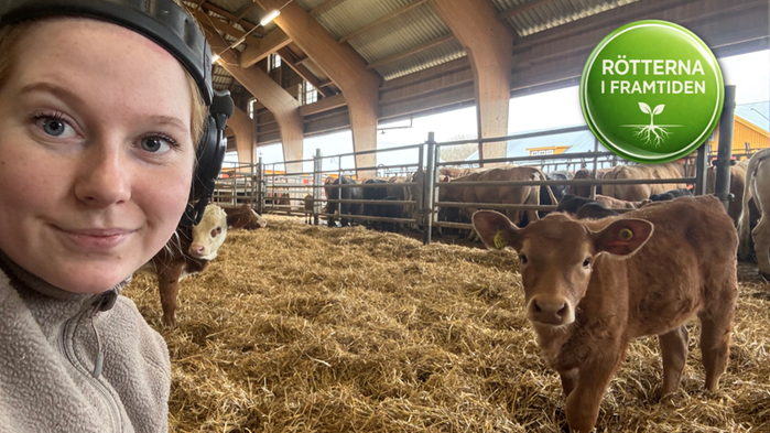 Ida Thunström tillsammans med sin kalv