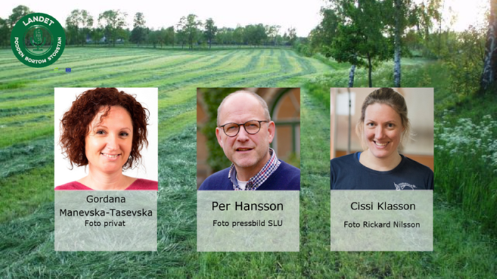 Per Hansson, verksamhetsledare Kompetenscentrum företagsledning, SLU, Gordana Manevska-Tasevska, docent Agrifood Economics Centre SLU och Cissi Klasson, vd och ägare Annelövsgrisen AB