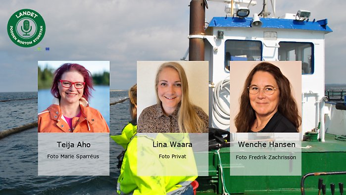 Teija Aho, vice ordförande i Sveriges fiskares producentorganisation (SFPO) samt yrkesfiskare och fiskodlare, Wenche Hansen, VD Matfiskodlarna AB och Lina Waara, jordbrukspolitiskutredare på Jordbruksverket