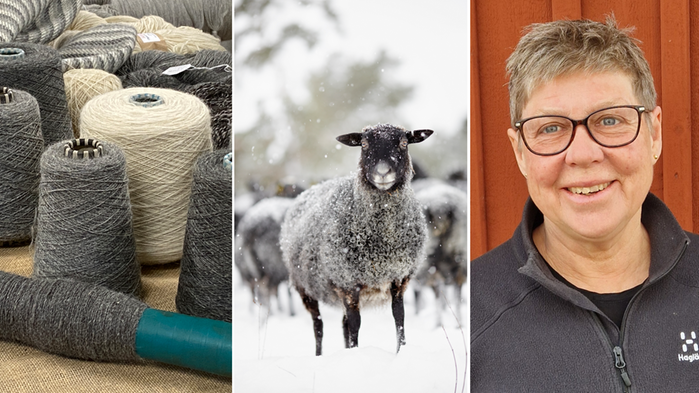 Trådrullar, gotlandsfår och porträttbild på kvinna.