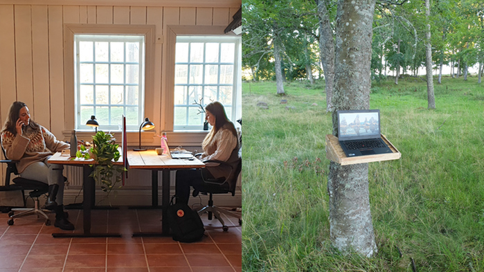 Två kvinnor vid varsitt skrivbord samt bild på dator utomhus vid ett träd.