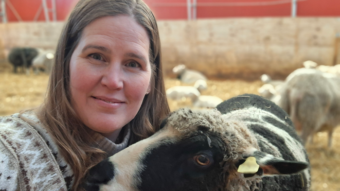 Malin Andersson sitter tillsammans med ett får i ett stall. Hon har en ulltröja på sig. 