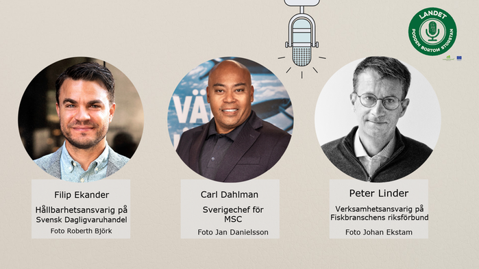 Kollage Filip Ekander, Carl Dahlman och Peter Linder