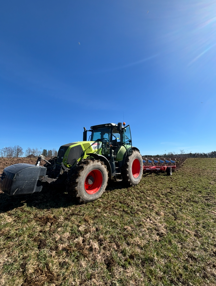 Hildas gröna traktor på en åker