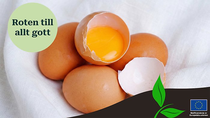 Man som håller fram en lax samt loggan för artikelserien ovanpå.