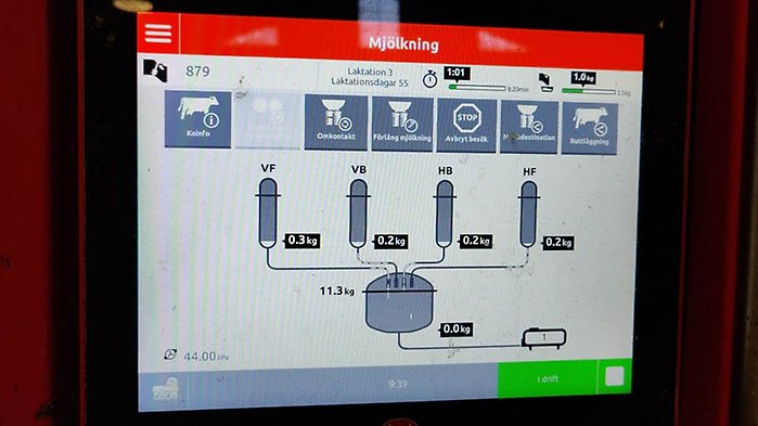 En skärm som visar den nymjölkade kossans status, samt mjölken status. 