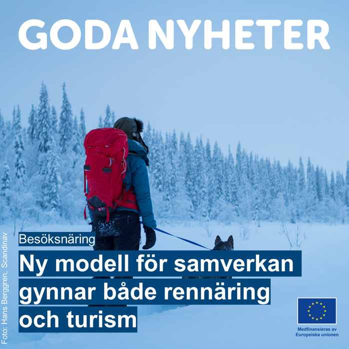 Ny modell för samverkan gynnar både rennäring och turism