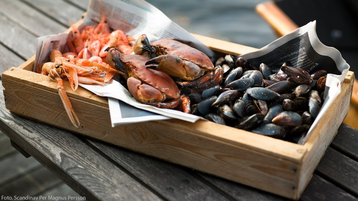 Trälåda med musslor, krabba, räkor. Lådan står på en brygga, havet syns i bakgrunden.