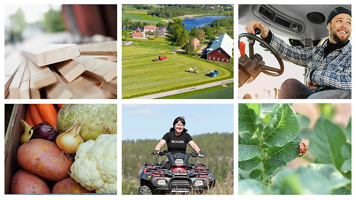 Kollage av bilder från jordbruk och landsbygd
