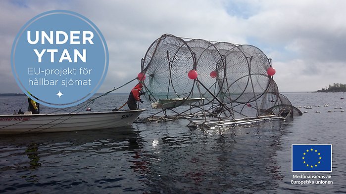 Bild på push-up-fälla.