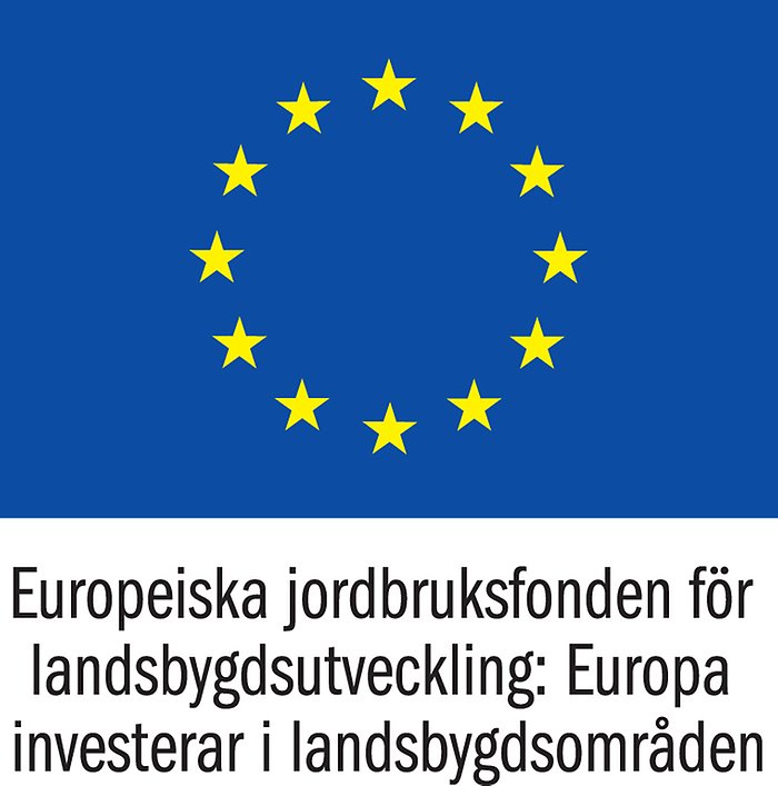 EUs gamla logo