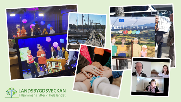 Collage med bilder på olika aktiviteter under veckan.