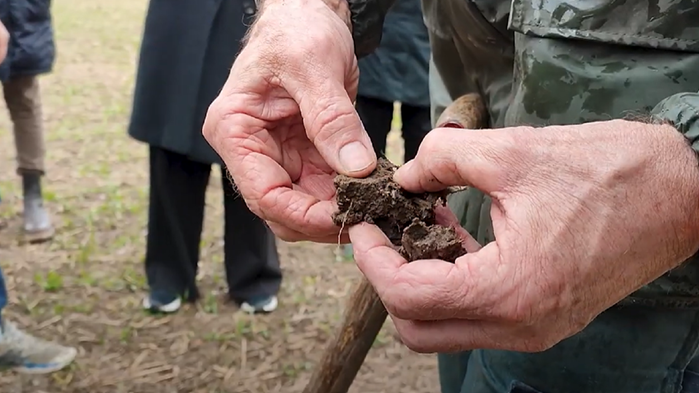 Händer som arbetar med jord