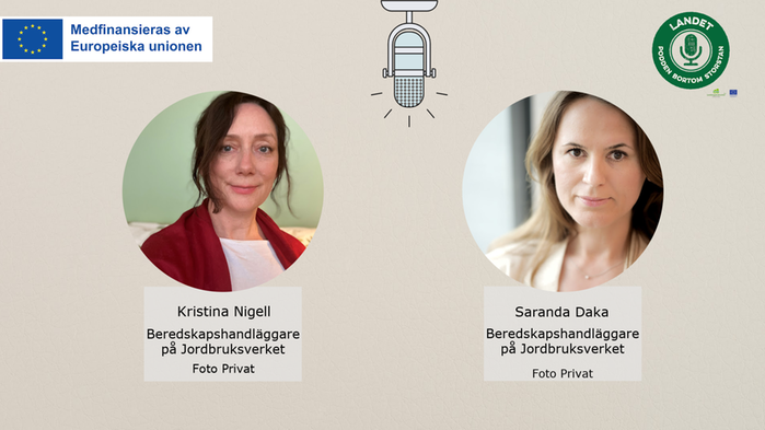 Man som håller fram en lax samt loggan för artikelserien ovanpå.